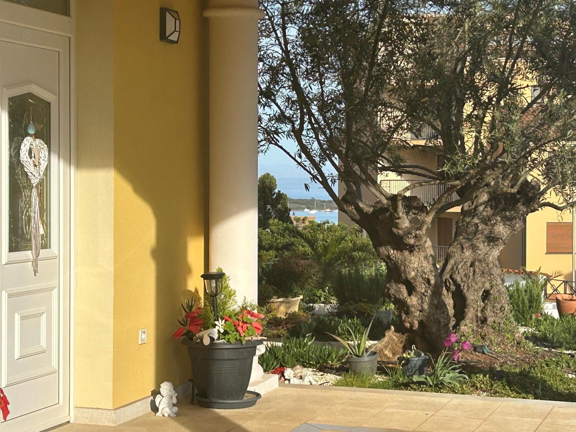 Villa Istriana Ližnjan Eksteriør billede